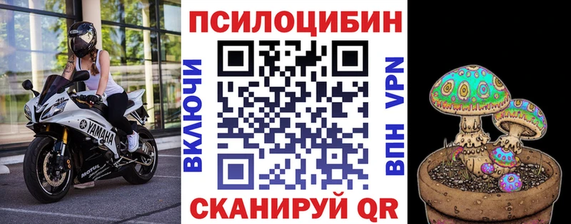 купить наркотики сайты  Горняк  Галлюциногенные грибы GOLDEN TEACHER 